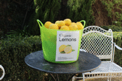 Lemons1